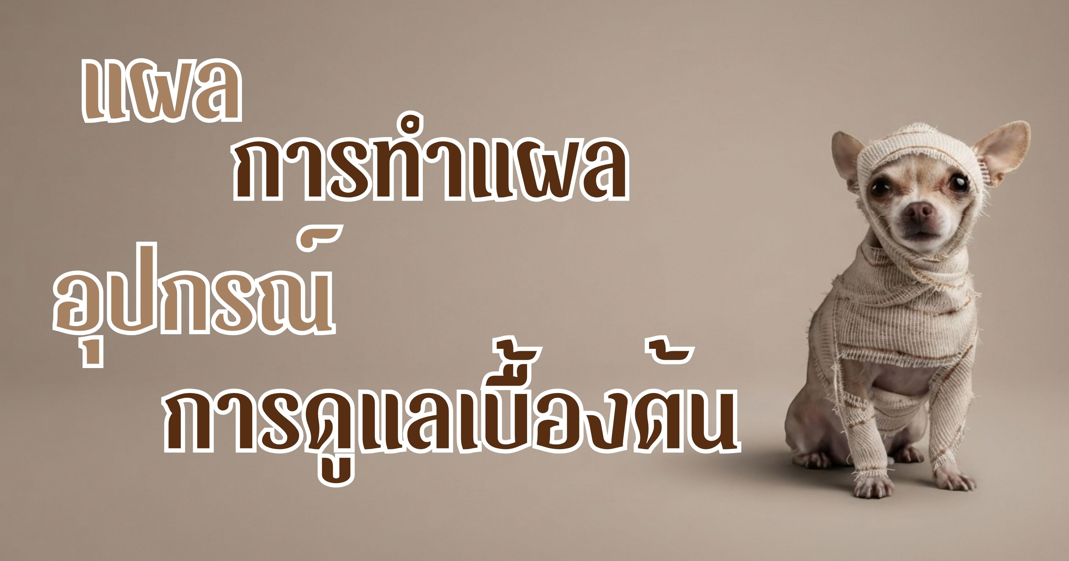 แผล การทำแผล อุปรณ์ทำแผล และการดูแลแผลเบื้องต้น
