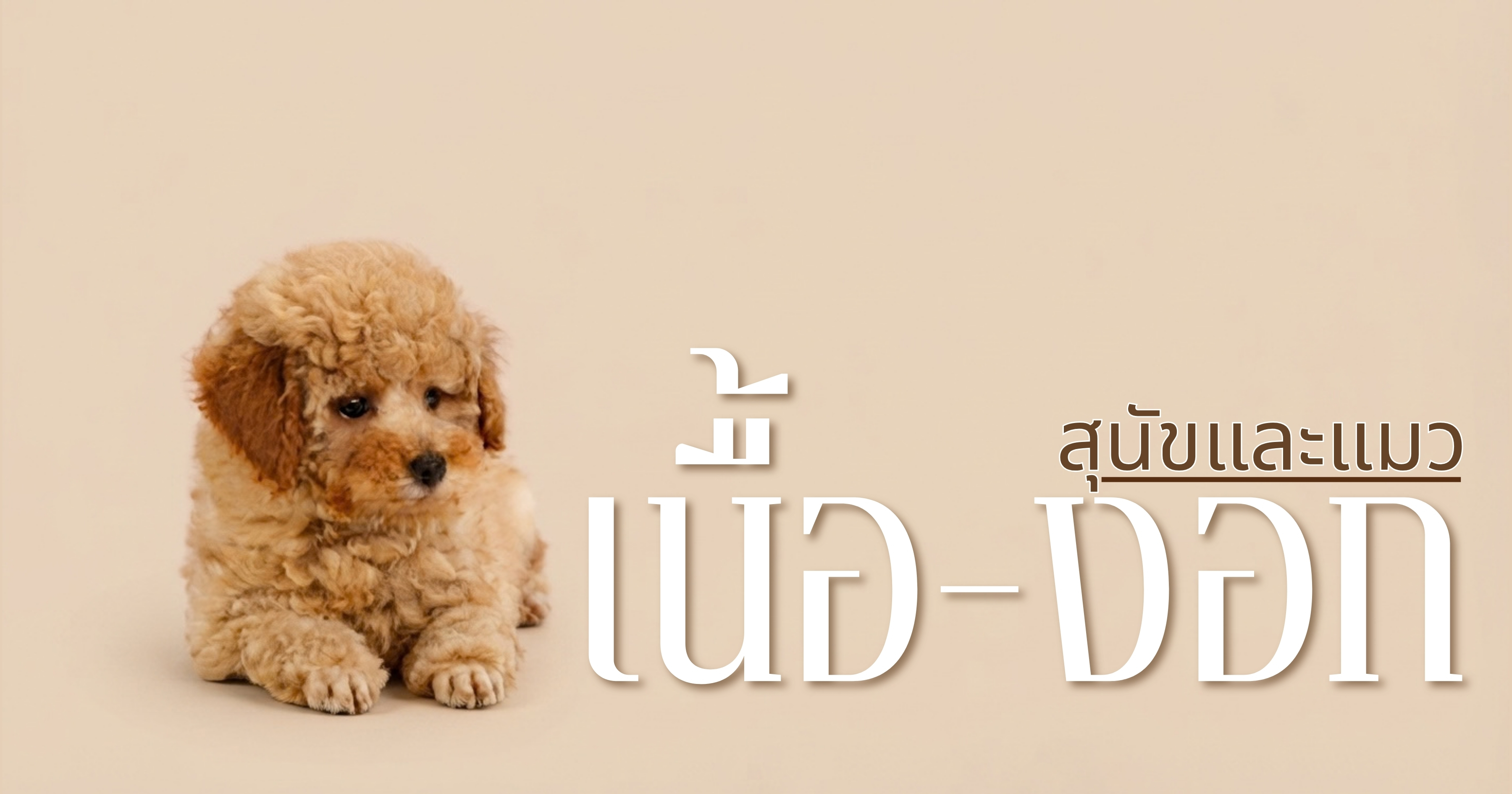 เนื้องอกในสุนัขและแมว